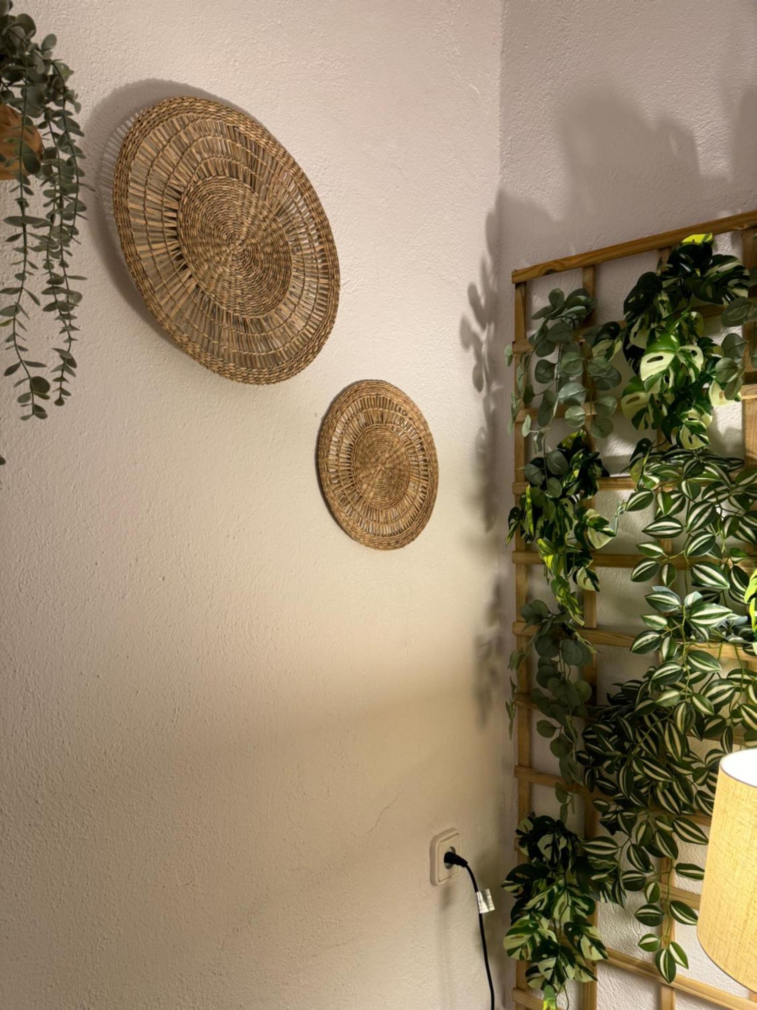 Garden Suites Xativa Casa Rural Екстер'єр фото